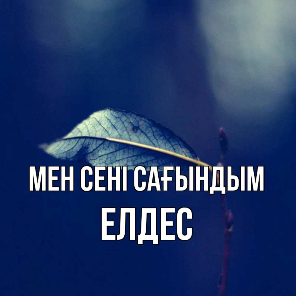Күн сайын ашық хат с именем, Елдес Мен сені сағындым одна ветка 1 Онлайн тегін жүктеп алу тілектері бар керемет карта 