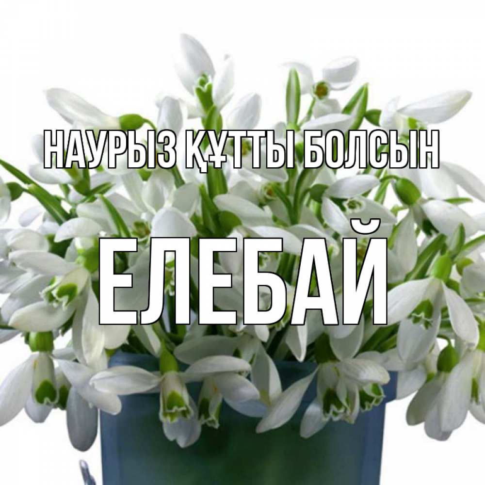 Күн сайын ашық хат с именем, Елебай Наурыз құтты болсын цветы к наурызу Онлайн тегін жүктеп алу тілектері бар керемет карта 