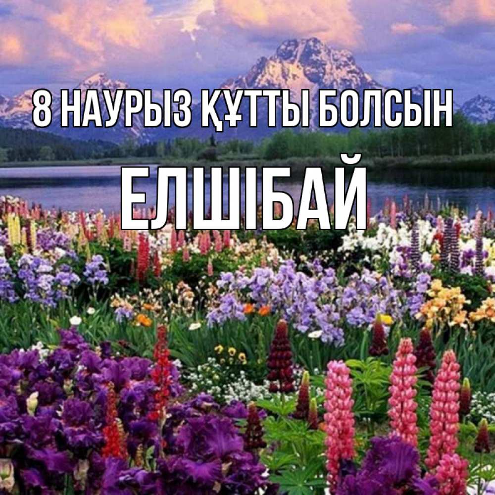 Күн сайын ашық хат с именем, Елшібай 8 наурыз құтты болсын международный женский день Онлайн тегін жүктеп алу тілектері бар керемет карта 