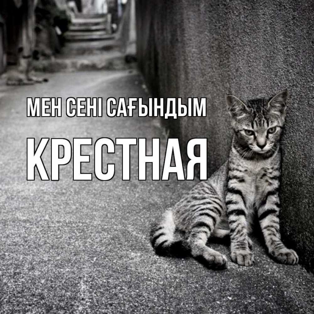 Күн сайын ашық хат с именем, Крестная Мен сені сағындым одиноко котику Онлайн тегін жүктеп алу тілектері бар керемет карта 