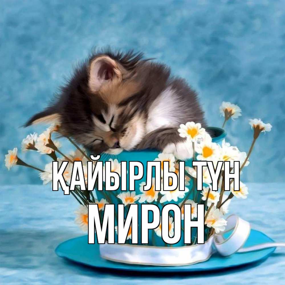 Күн сайын ашық хат с именем, МИРОН Қайырлы түн котенок спит в кружке с блюдцем Онлайн тегін жүктеп алу тілектері бар керемет карта 