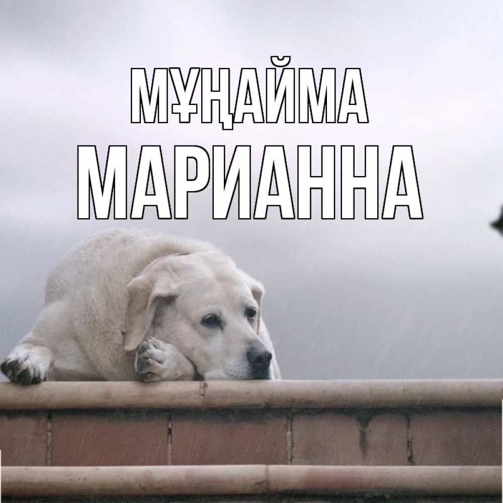 Күн сайын ашық хат с именем, Марианна Мұңайма белый пес 1 Онлайн тегін жүктеп алу тілектері бар керемет карта 