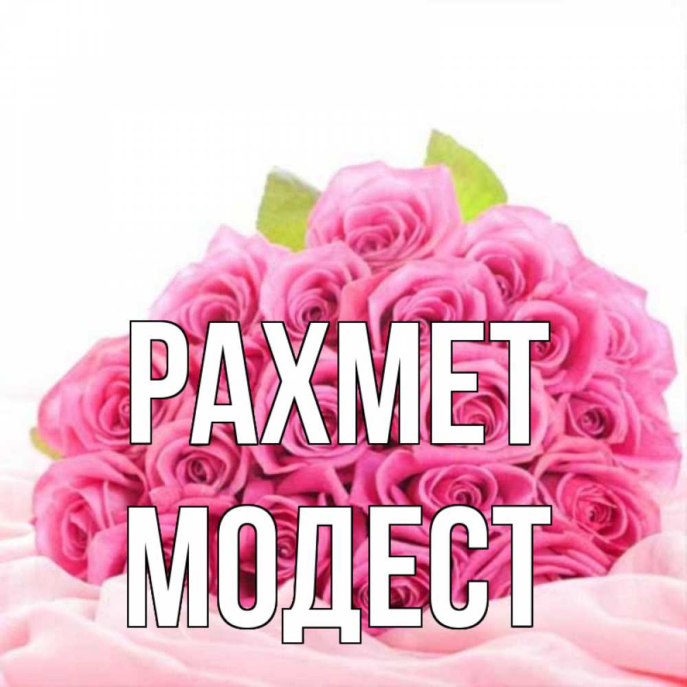 Күн сайын ашық хат с именем, Модест рахмет розовые розы с подписью Онлайн тегін жүктеп алу тілектері бар керемет карта 
