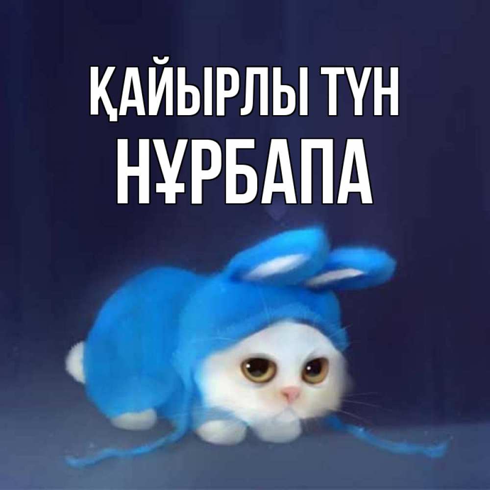 Күн сайын ашық хат с именем, НҰРБАПА Қайырлы түн кот в голубом костюме кролика с ушками Онлайн тегін жүктеп алу тілектері бар керемет карта 