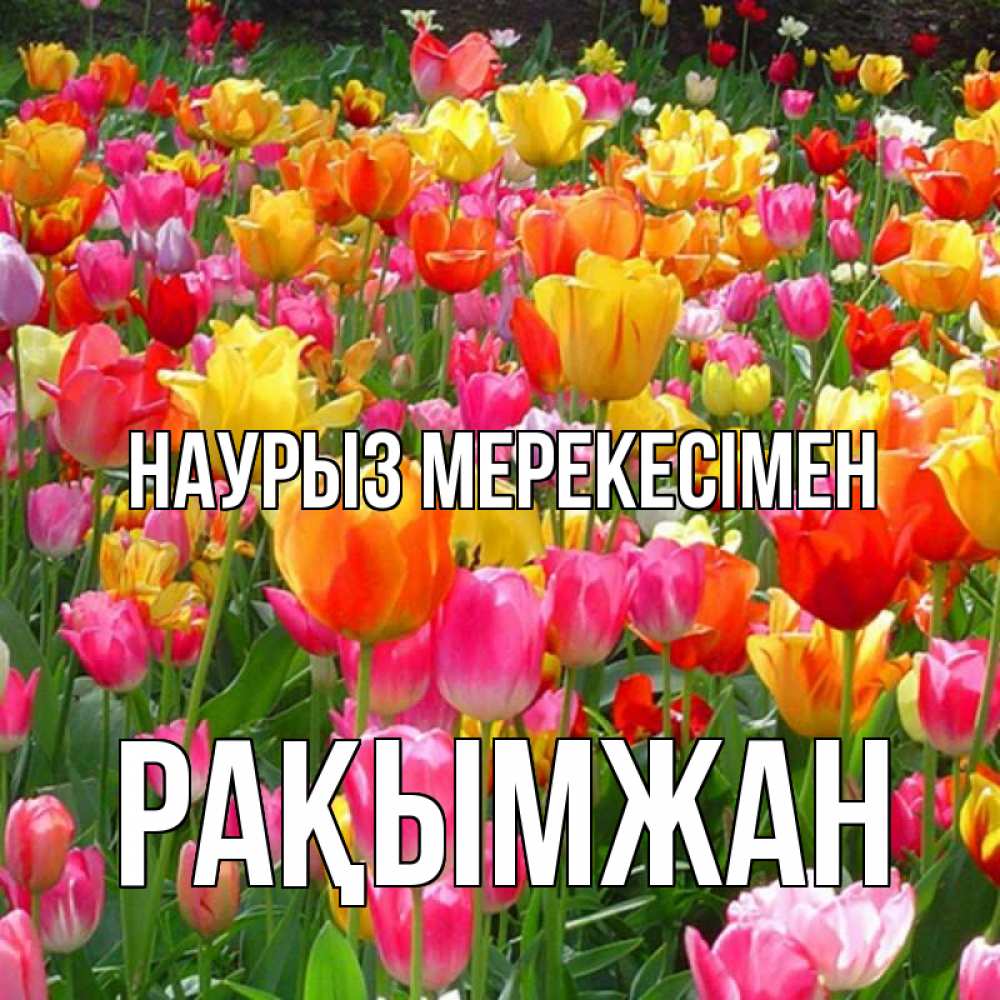 Күн сайын ашық хат с именем, Рақымжан Наурыз мерекесімен праздник весны наурыз 4 Онлайн тегін жүктеп алу тілектері бар керемет карта 