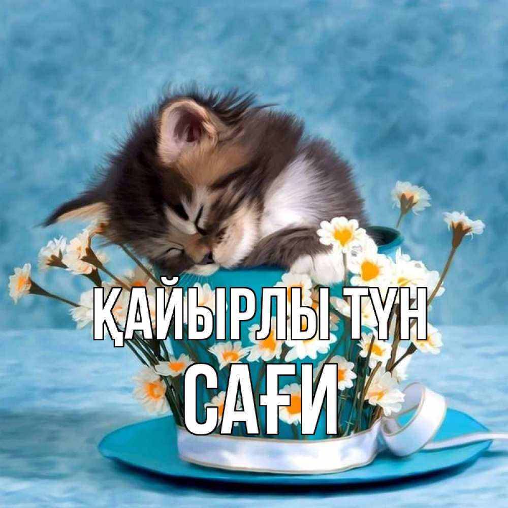 Күн сайын ашық хат с именем, САҒИ Қайырлы түн котенок спит в кружке с блюдцем Онлайн тегін жүктеп алу тілектері бар керемет карта 