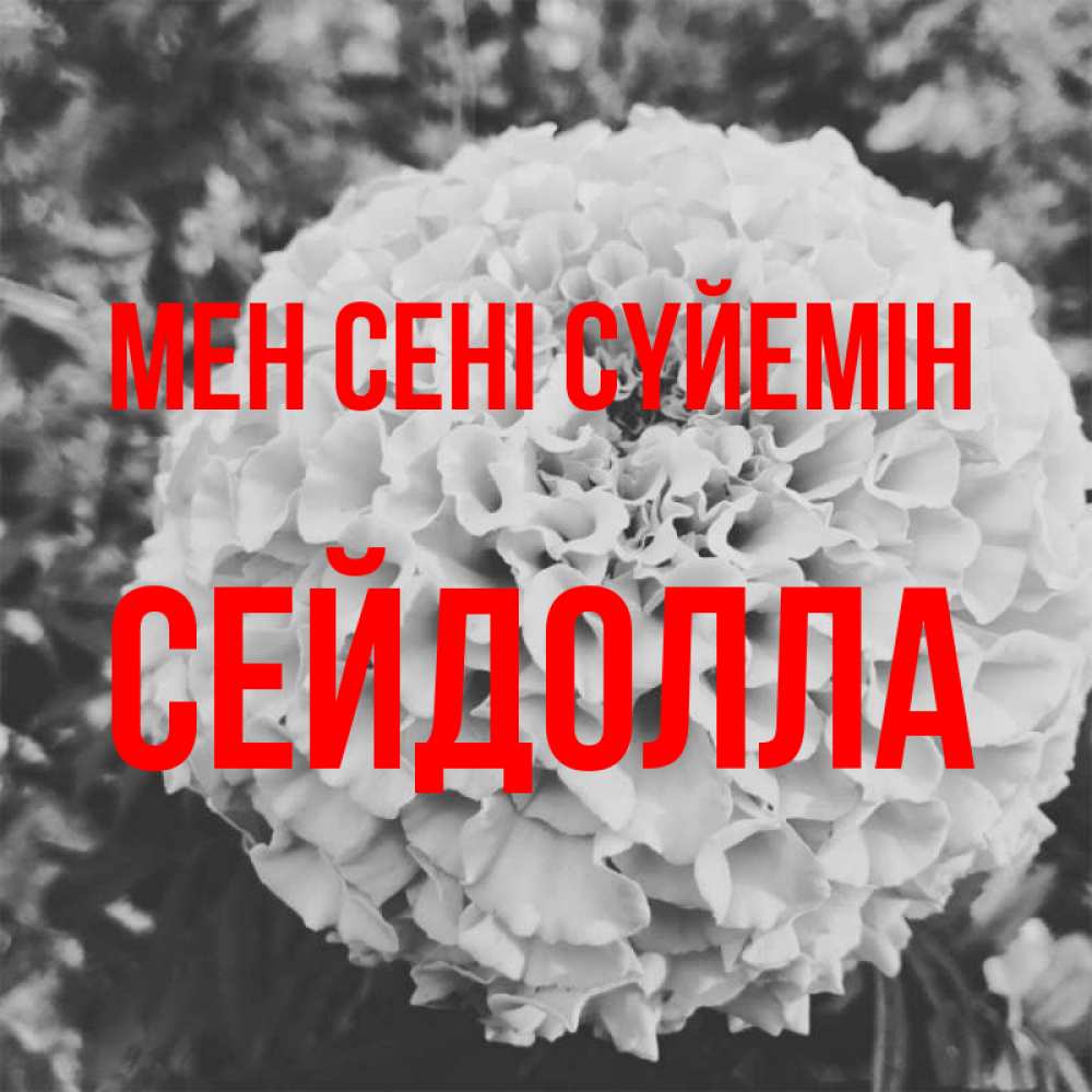 Күн сайын ашық хат с именем, СЕЙДОЛЛА Мен сені сүйемін подпись Онлайн тегін жүктеп алу тілектері бар керемет карта 