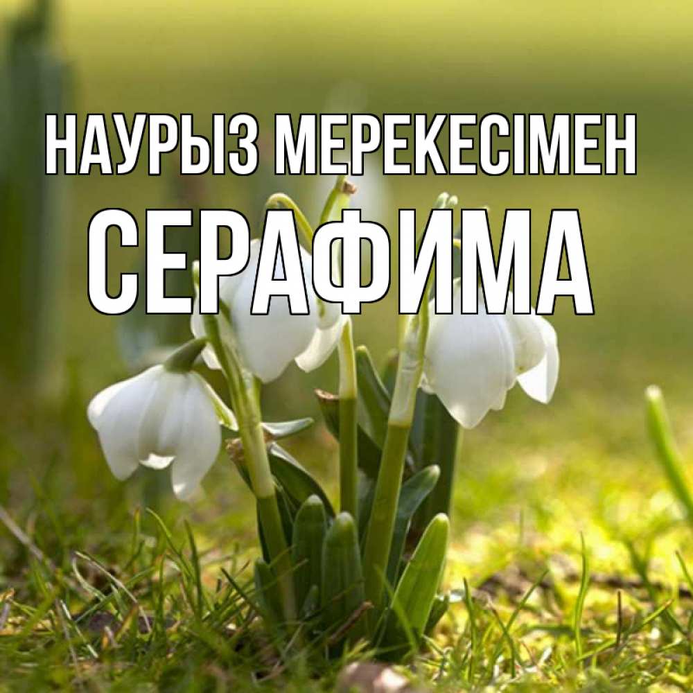 Күн сайын ашық хат с именем, Серафима Наурыз мерекесімен ранние цветы 2 Онлайн тегін жүктеп алу тілектері бар керемет карта 
