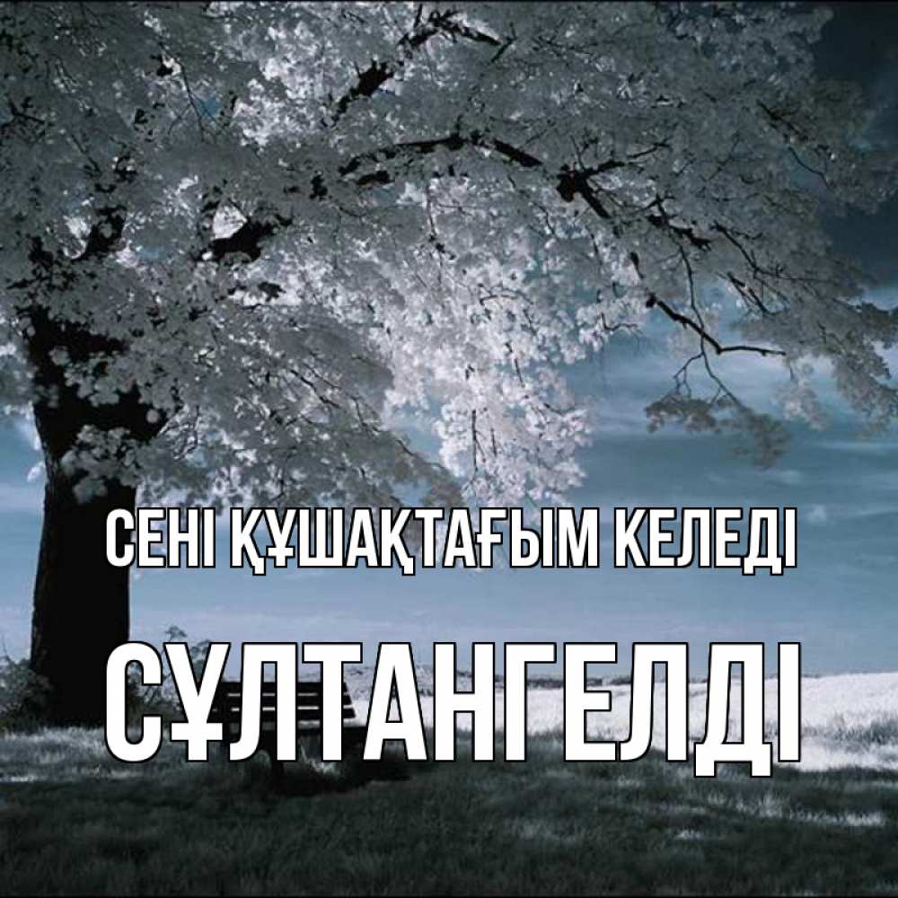 Күн сайын ашық хат с именем, СҰЛТАНГЕЛДІ сені құшақтағым келеді дерево Онлайн тегін жүктеп алу тілектері бар керемет карта 