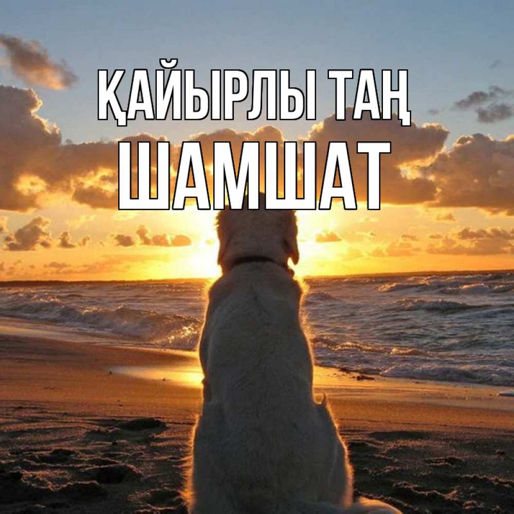 Күн сайын ашық хат с именем, ШАМШАТ Қайырлы таң восход солнца Онлайн тегін жүктеп алу тілектері бар керемет карта 