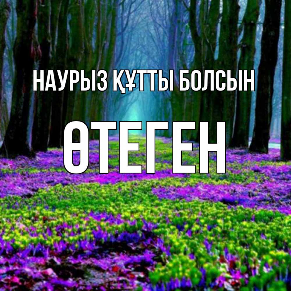 Күн сайын ашық хат с именем, ӨТЕГЕН Наурыз құтты болсын фиолетовые цветы в лесу 1 Онлайн тегін жүктеп алу тілектері бар керемет карта 