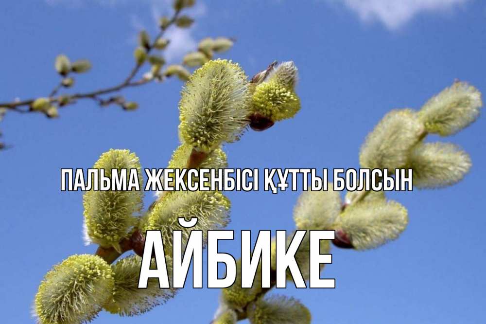 Күн сайын ашық хат с именем, АЙБИКЕ Пальма жексенбісі құтты болсын верба Онлайн тегін жүктеп алу тілектері бар керемет карта 