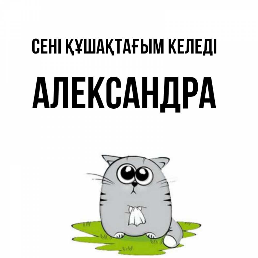 Күн сайын ашық хат с именем, Александра сені құшақтағым келеді котик теребит платочек сидя на травке Онлайн тегін жүктеп алу тілектері бар керемет карта 