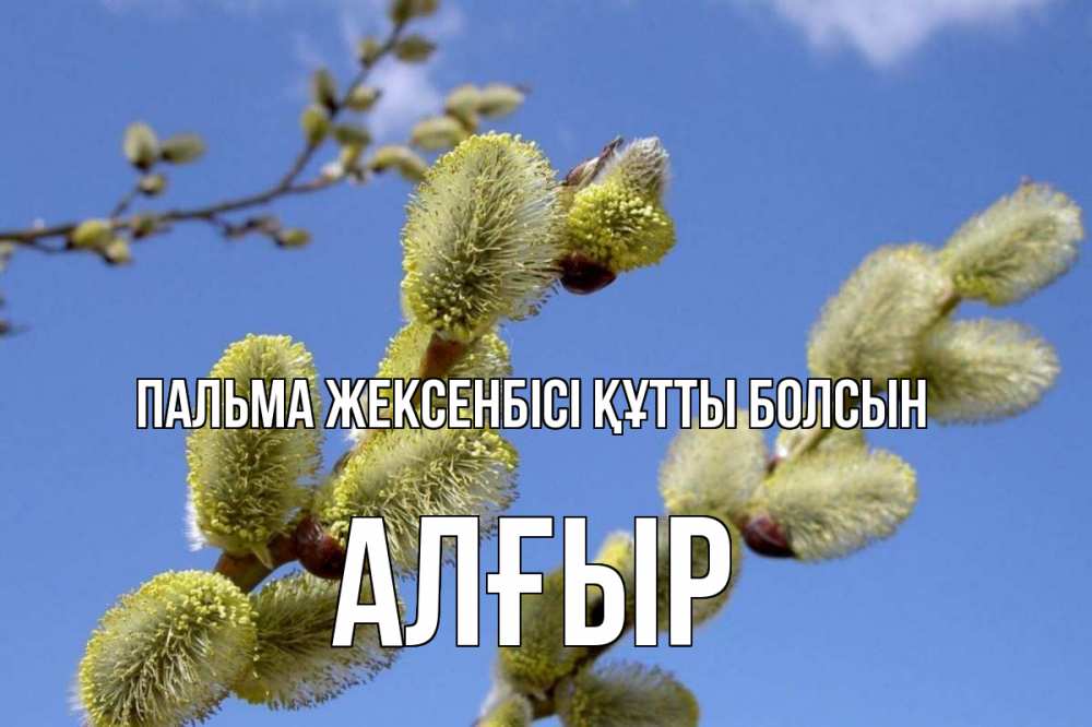 Күн сайын ашық хат с именем, Алғыр Пальма жексенбісі құтты болсын верба Онлайн тегін жүктеп алу тілектері бар керемет карта 