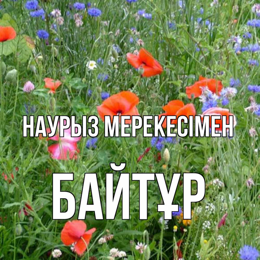 Күн сайын ашық хат с именем, Байтұр Наурыз мерекесімен праздник весны наурыз супер открытка Онлайн тегін жүктеп алу тілектері бар керемет карта 