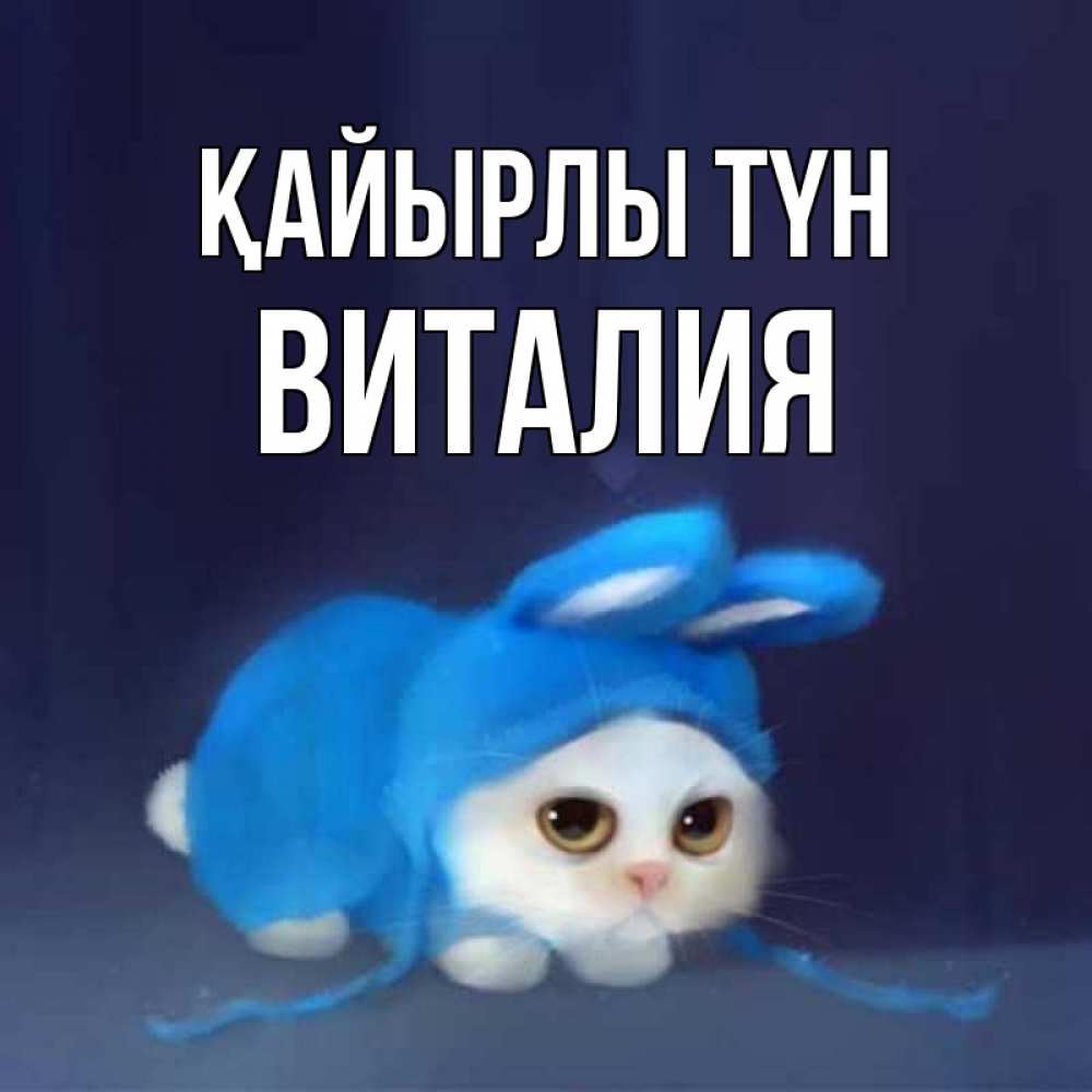 Күн сайын ашық хат с именем, Виталия Қайырлы түн кот в голубом костюме кролика с ушками Онлайн тегін жүктеп алу тілектері бар керемет карта 