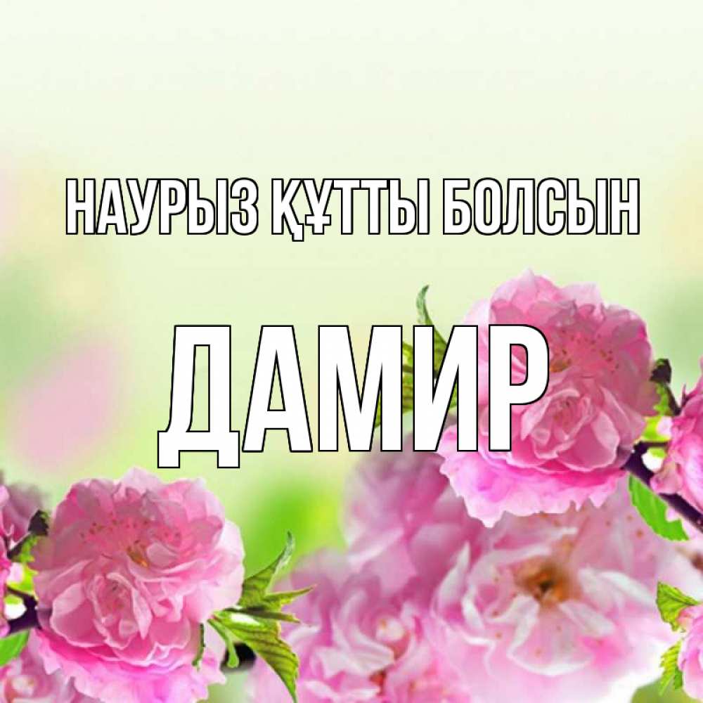 Күн сайын ашық хат с именем, Дамир Наурыз құтты болсын цветы Онлайн тегін жүктеп алу тілектері бар керемет карта 