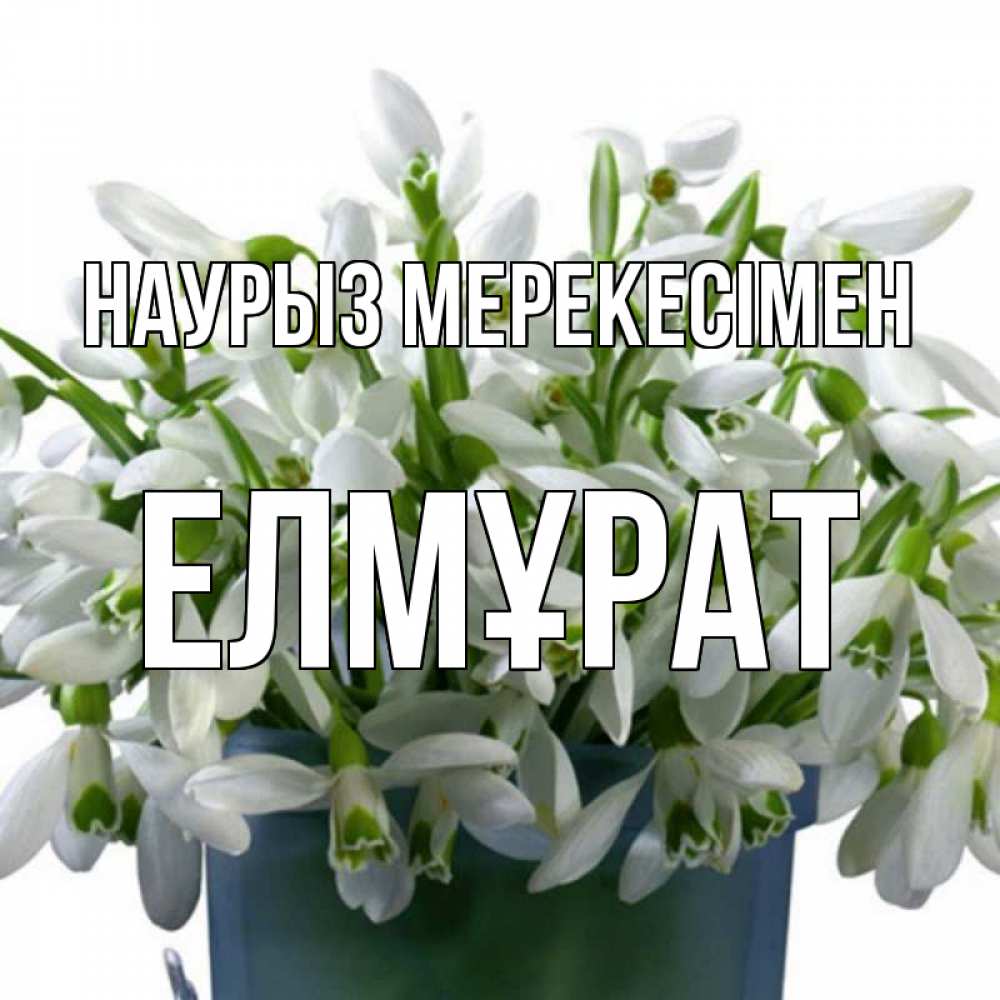 Күн сайын ашық хат с именем, Елмұрат Наурыз мерекесімен цветы к наурызу новый год в Казахстане Онлайн тегін жүктеп алу тілектері бар керемет карта 