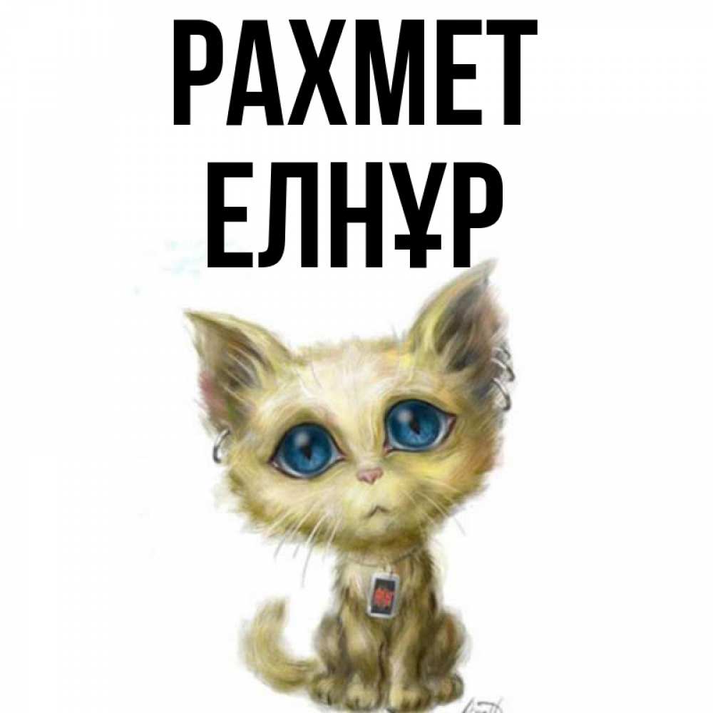 Күн сайын ашық хат с именем, Елнұр рахмет рисованный кот благодарит вас Онлайн тегін жүктеп алу тілектері бар керемет карта 