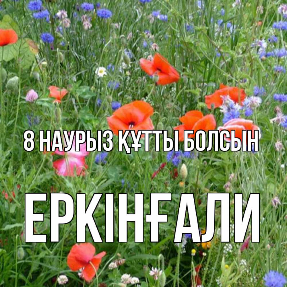 Күн сайын ашық хат с именем, Еркінғали 8 наурыз құтты болсын международный женский день 4 Онлайн тегін жүктеп алу тілектері бар керемет карта 