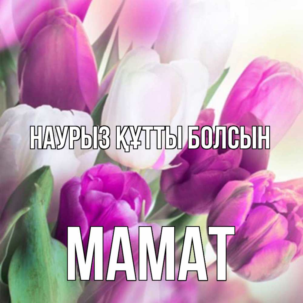Күн сайын ашық хат с именем, МАМАТ Наурыз құтты болсын весна 1 Онлайн тегін жүктеп алу тілектері бар керемет карта 