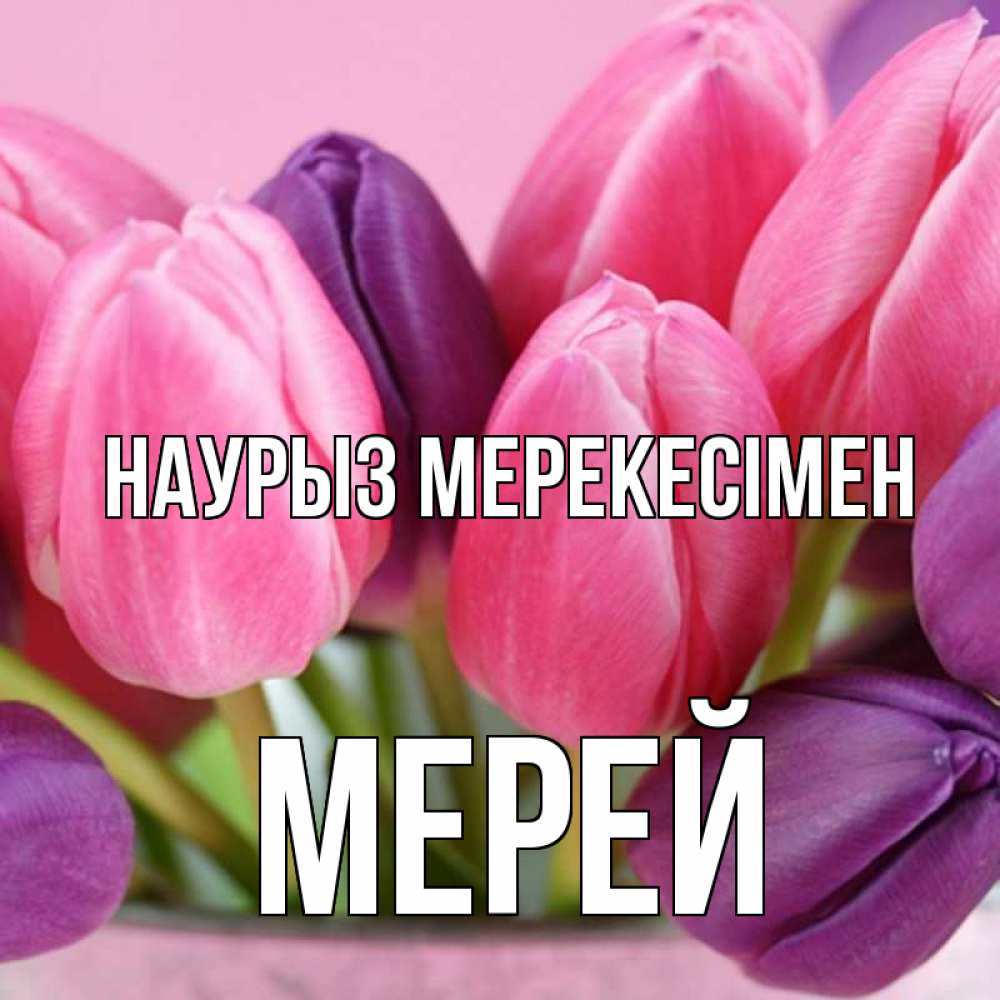 Күн сайын ашық хат с именем, МЕРЕЙ Наурыз мерекесімен маме 1 Онлайн тегін жүктеп алу тілектері бар керемет карта 