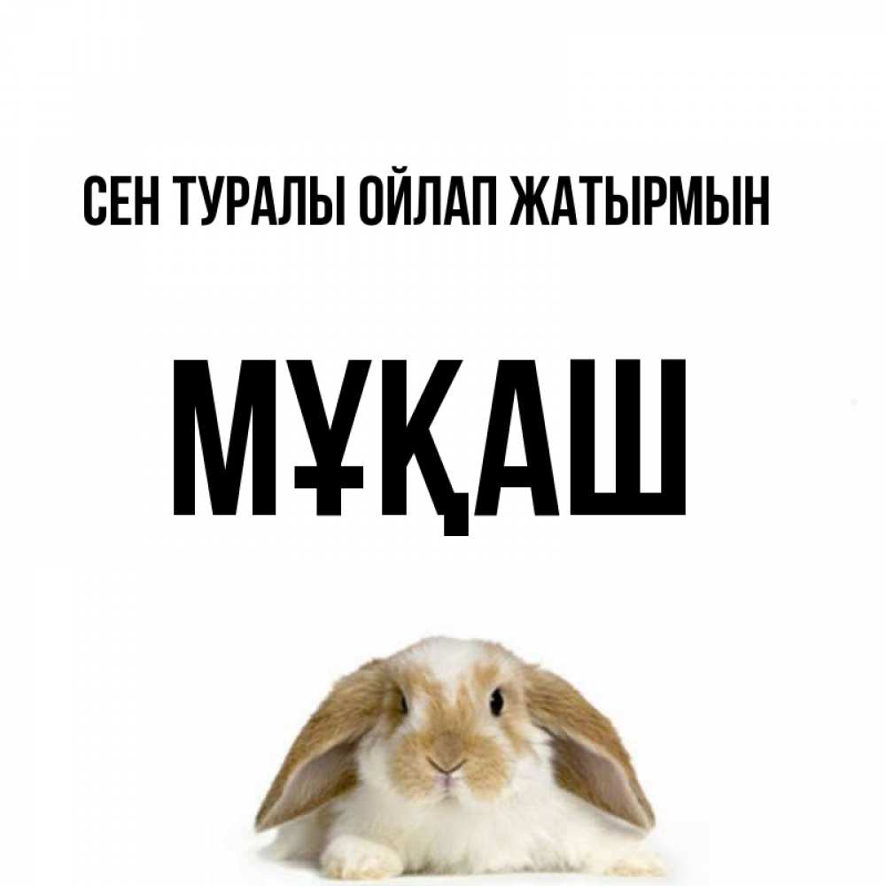 Күн сайын ашық хат с именем, Мұқаш Сен туралы ойлап жатырмын подписать своими руками онлайн Онлайн тегін жүктеп алу тілектері бар керемет карта 
