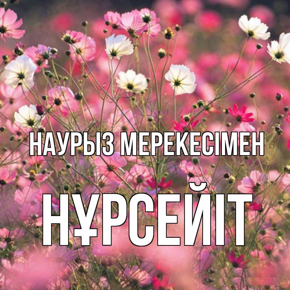 Күн сайын ашық хат с именем, НҰРСЕЙІТ Наурыз мерекесімен красиво 1 Онлайн тегін жүктеп алу тілектері бар керемет карта 