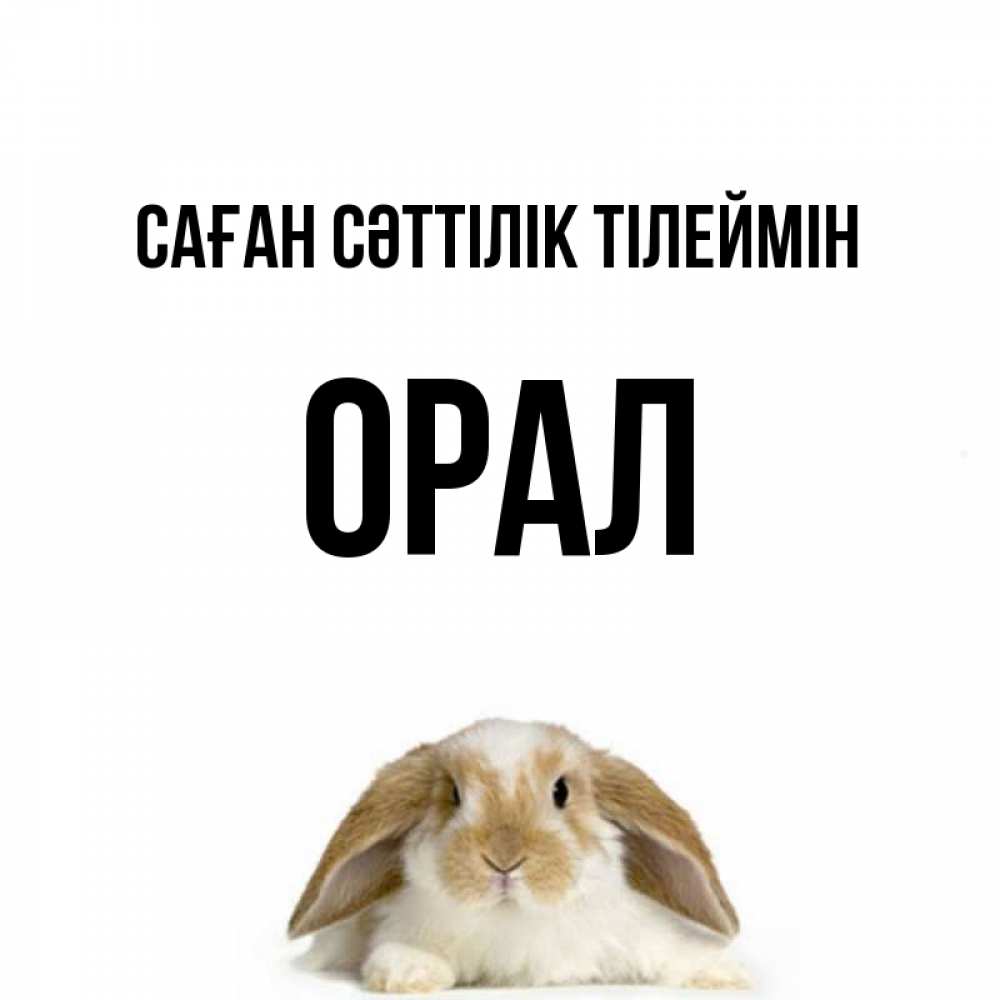 Күн сайын ашық хат с именем, ОРАЛ Саған сәттілік тілеймін открытки с произвольным текстом который можно вставить в открытку и создать ее самостоятельно бесплатно онлайн Онлайн тегін жүктеп алу тілектері бар керемет карта 