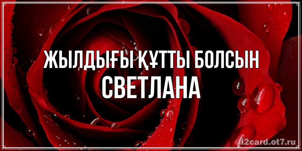 Күн сайын ашық хат с именем, Светлана Жылдығы құтты болсын крупная бордовая роза Онлайн тегін жүктеп алу тілектері бар керемет карта 