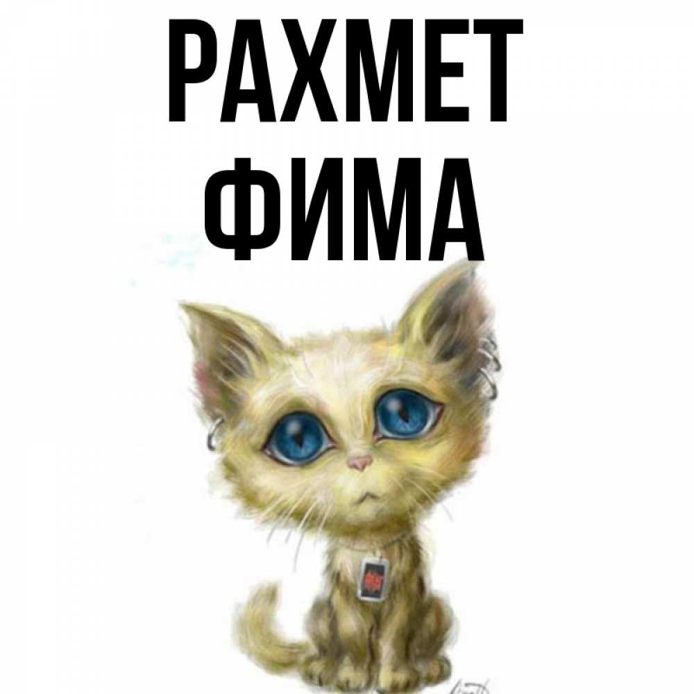 Күн сайын ашық хат с именем, Фима рахмет рисованный кот благодарит вас Онлайн тегін жүктеп алу тілектері бар керемет карта 
