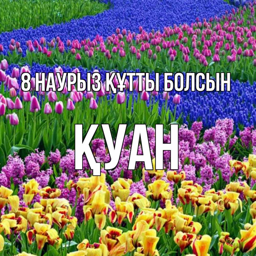 Күн сайын ашық хат с именем, ҚУАН 8 наурыз құтты болсын цветы Онлайн тегін жүктеп алу тілектері бар керемет карта 