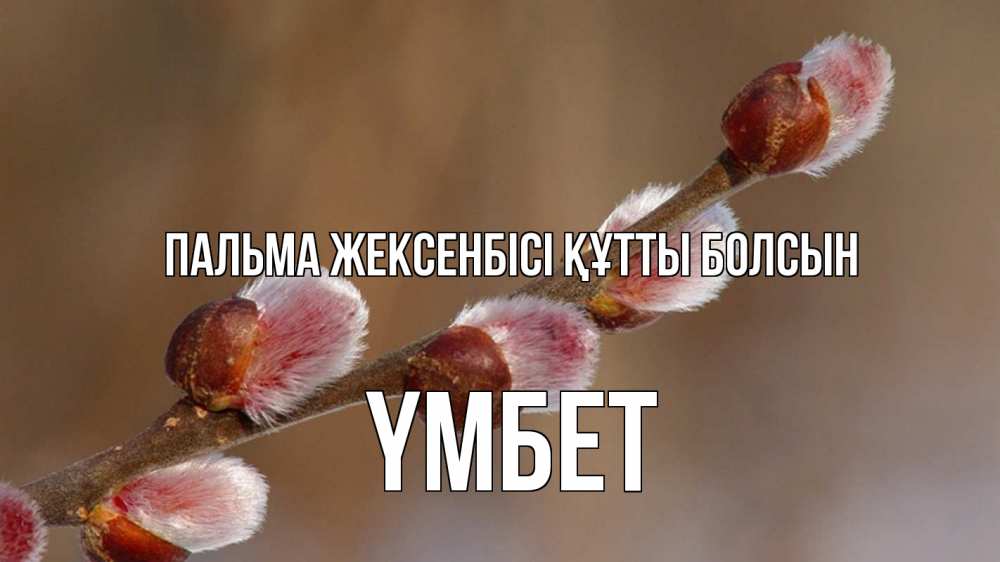 Күн сайын ашық хат с именем, ҮМБЕТ Пальма жексенбісі құтты болсын верба Онлайн тегін жүктеп алу тілектері бар керемет карта 
