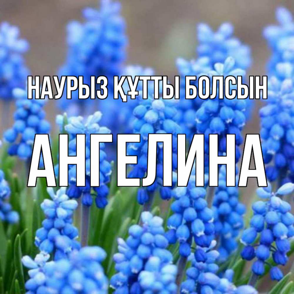 Күн сайын ашық хат с именем, Ангелина Наурыз құтты болсын Поздравительная открытка для женщин с цветами на праздничную дату Онлайн тегін жүктеп алу тілектері бар керемет карта 