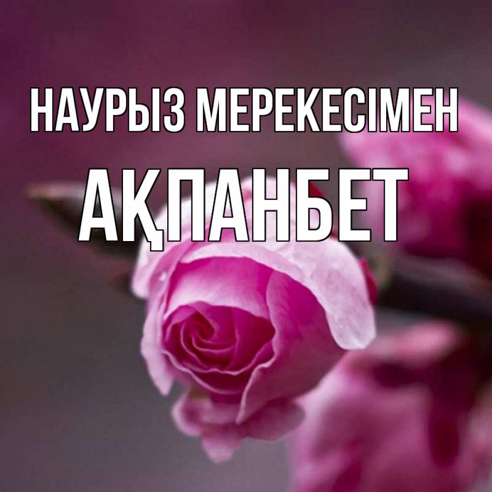 Күн сайын ашық хат с именем, Ақпанбет Наурыз мерекесімен весна Онлайн тегін жүктеп алу тілектері бар керемет карта 