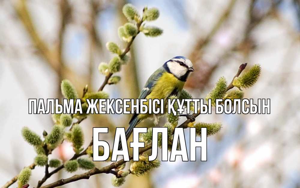 Күн сайын ашық хат с именем, Бағлан Пальма жексенбісі құтты болсын верба Онлайн тегін жүктеп алу тілектері бар керемет карта 