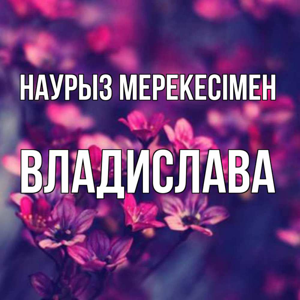 Күн сайын ашық хат с именем, Владислава Наурыз мерекесімен небольшие цветы 1 Онлайн тегін жүктеп алу тілектері бар керемет карта 
