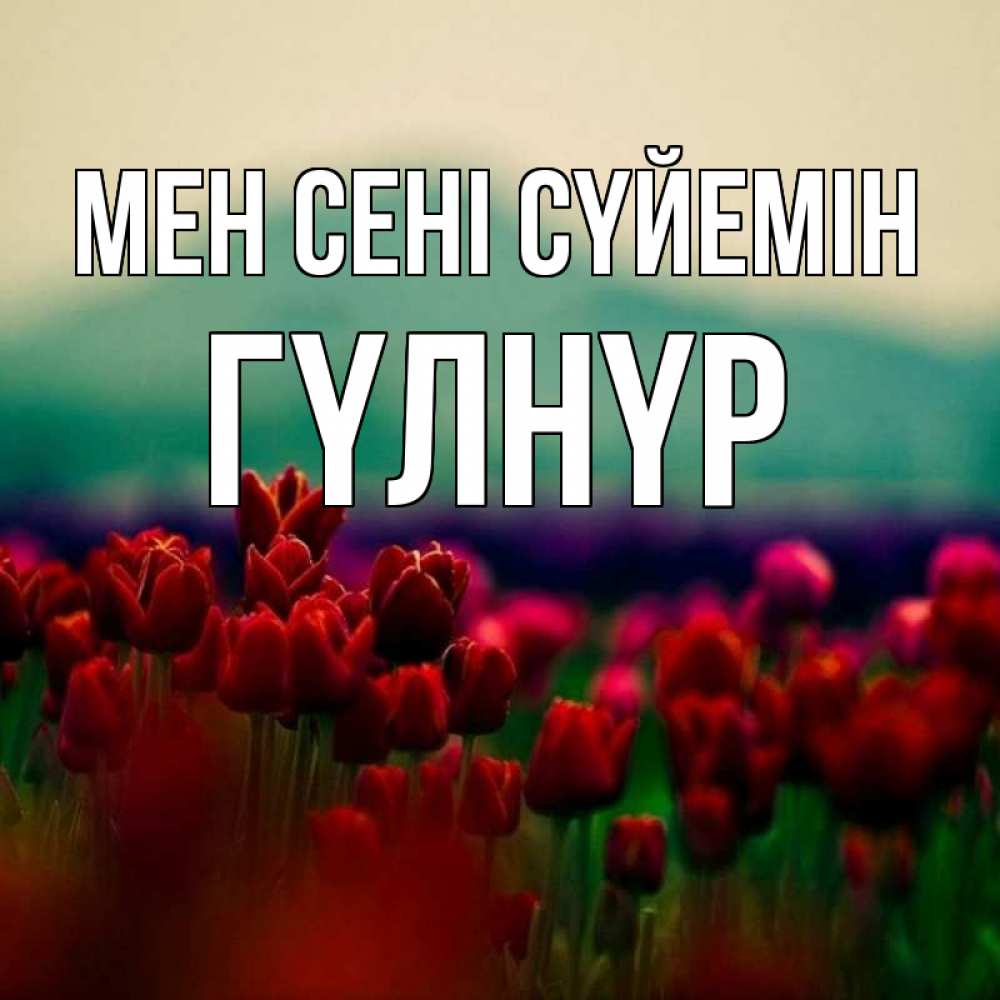 Күн сайын ашық хат с именем, ГҮЛНҮР Мен сені сүйемін тюльпаны 4 Онлайн тегін жүктеп алу тілектері бар керемет карта 