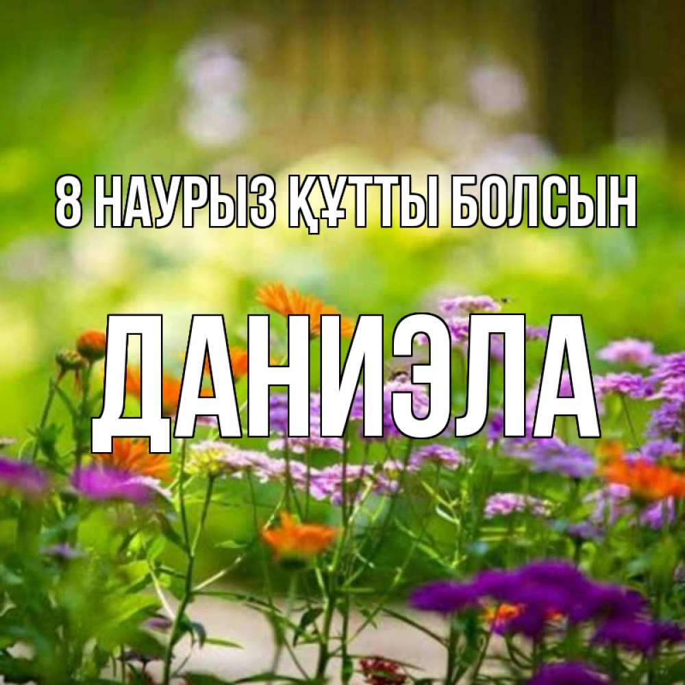 Күн сайын ашық хат с именем, Даниэла 8 наурыз құтты болсын цветы Онлайн тегін жүктеп алу тілектері бар керемет карта 