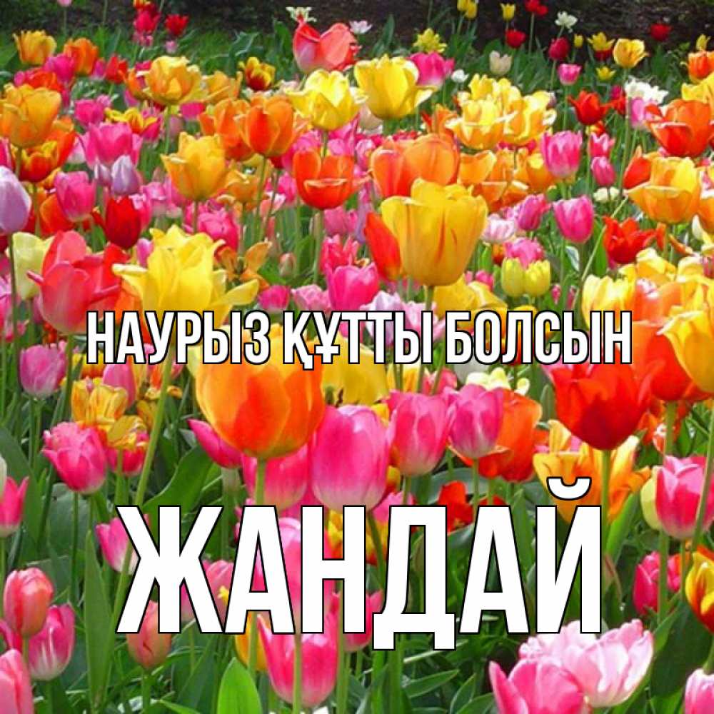Күн сайын ашық хат с именем, Жандай Наурыз құтты болсын на наурыз  ура ура Онлайн тегін жүктеп алу тілектері бар керемет карта 
