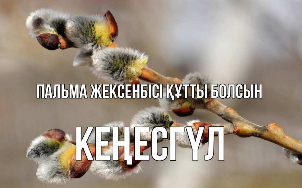 Күн сайын ашық хат с именем, КЕҢЕСГҮЛ Пальма жексенбісі құтты болсын Верба Онлайн тегін жүктеп алу тілектері бар керемет карта 