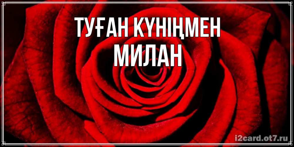 Күн сайын ашық хат с именем, Милан Туған күніңмен алая роза Онлайн тегін жүктеп алу тілектері бар керемет карта 