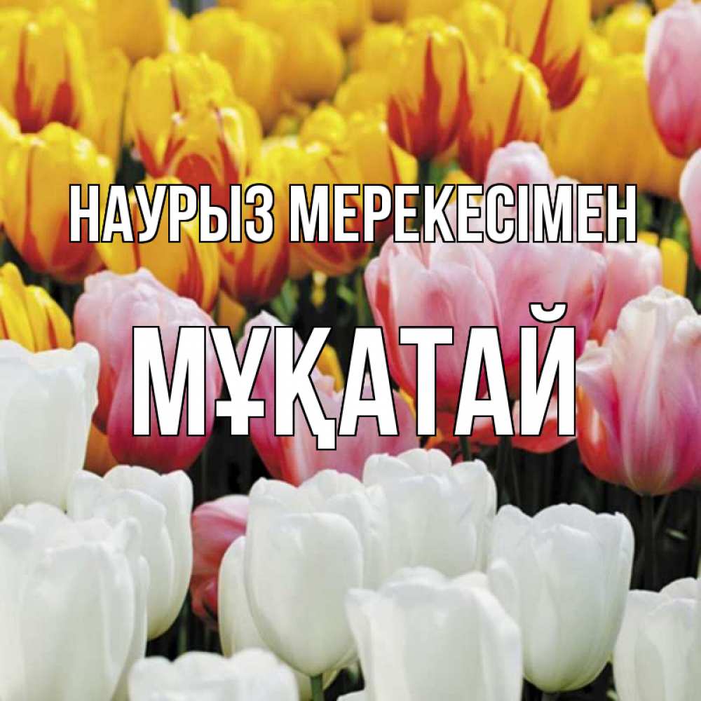 Күн сайын ашық хат с именем, Мұқатай Наурыз мерекесімен разноцветные цветы Онлайн тегін жүктеп алу тілектері бар керемет карта 