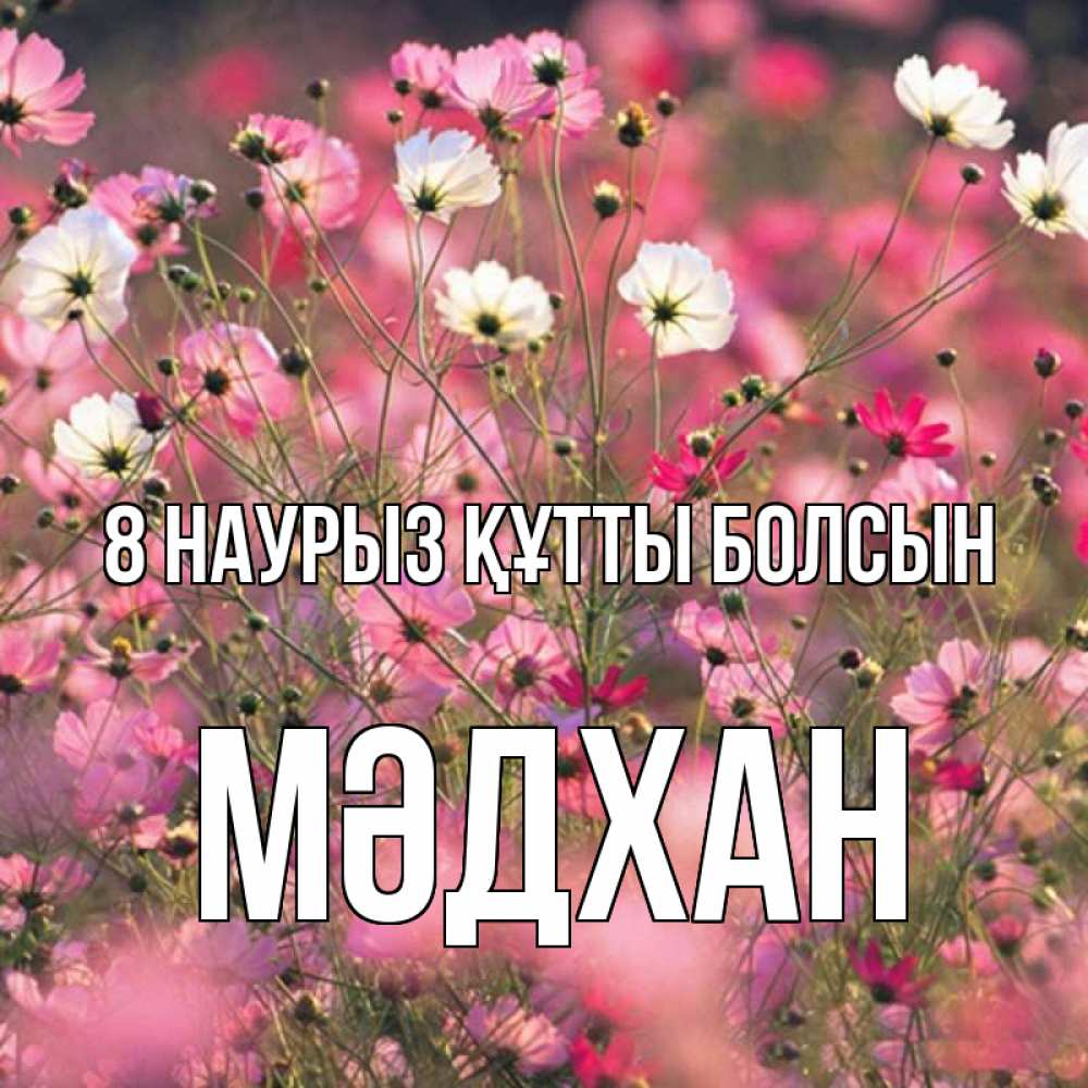 Күн сайын ашық хат с именем, МӘДХАН 8 наурыз құтты болсын красиво 1 Онлайн тегін жүктеп алу тілектері бар керемет карта 