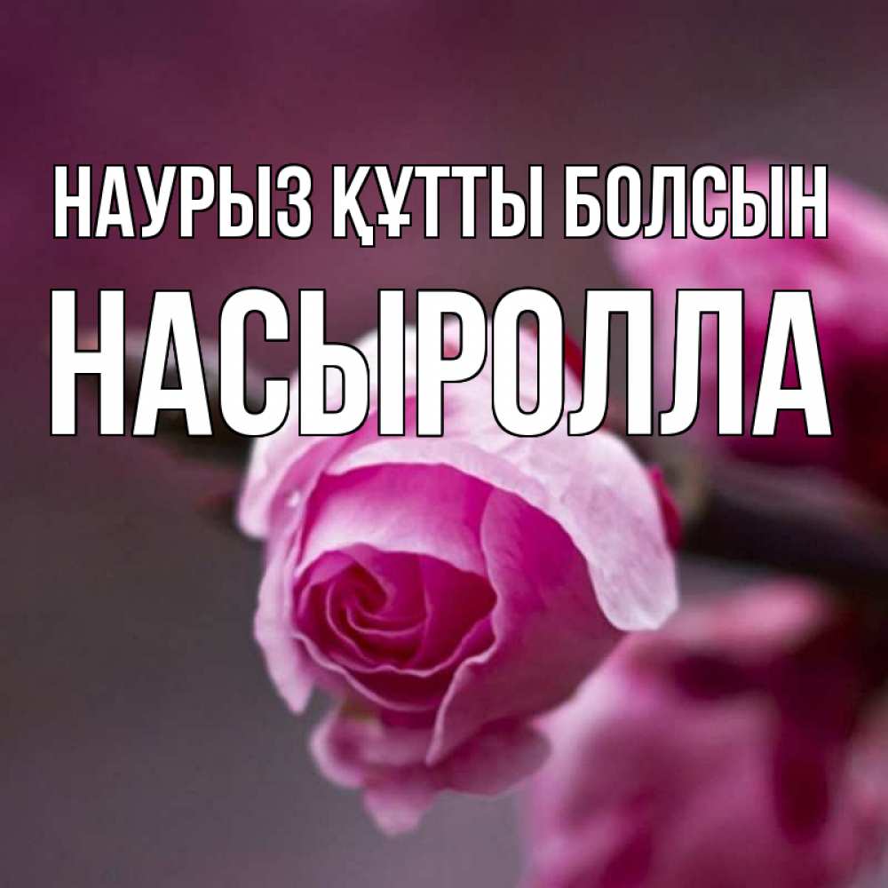 Күн сайын ашық хат с именем, Насыролла Наурыз құтты болсын весна Онлайн тегін жүктеп алу тілектері бар керемет карта 
