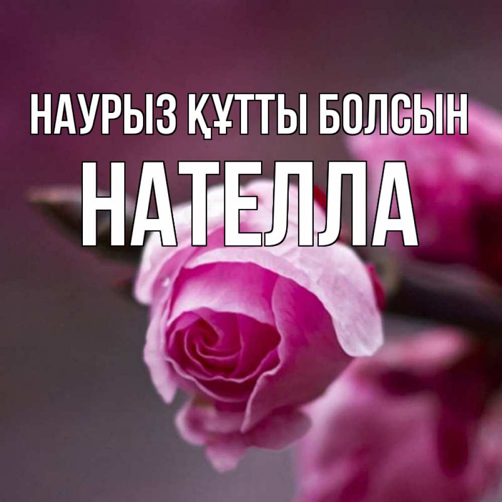 Күн сайын ашық хат с именем, Нателла Наурыз құтты болсын весна Онлайн тегін жүктеп алу тілектері бар керемет карта 