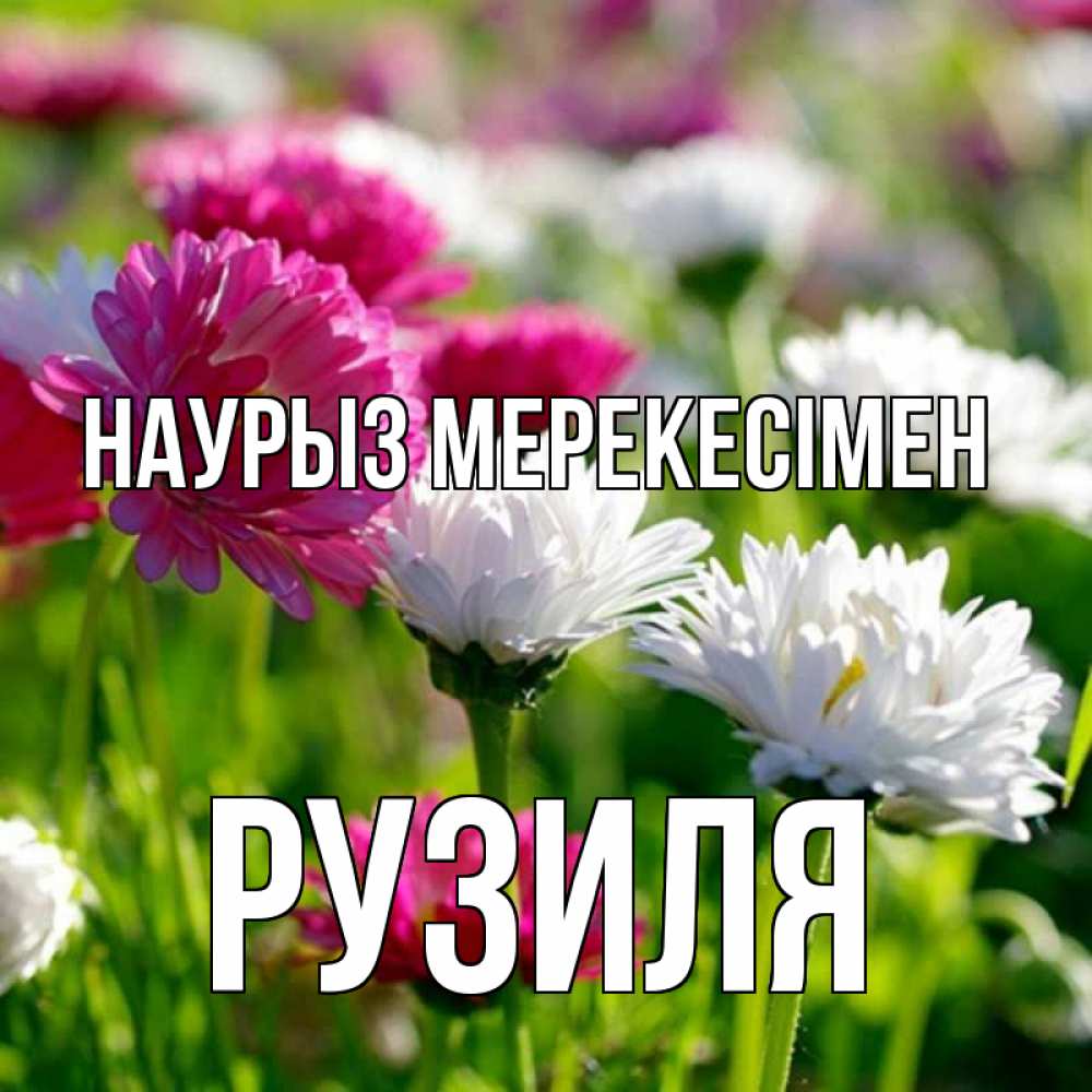 Күн сайын ашық хат с именем, Рузиля Наурыз мерекесімен праздник весны наурыз красота Онлайн тегін жүктеп алу тілектері бар керемет карта 