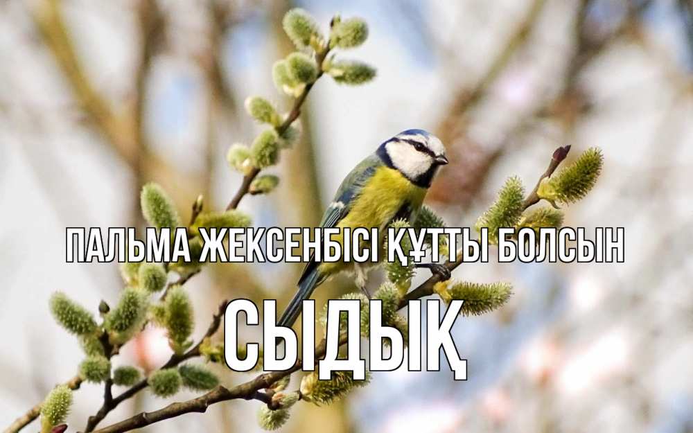 Күн сайын ашық хат с именем, СЫДЫҚ Пальма жексенбісі құтты болсын верба Онлайн тегін жүктеп алу тілектері бар керемет карта 