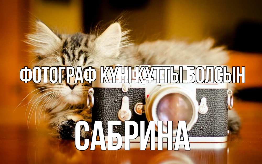 Күн сайын ашық хат с именем, Сабрина Фотограф күні құтты болсын с днем фотографа Онлайн тегін жүктеп алу тілектері бар керемет карта 