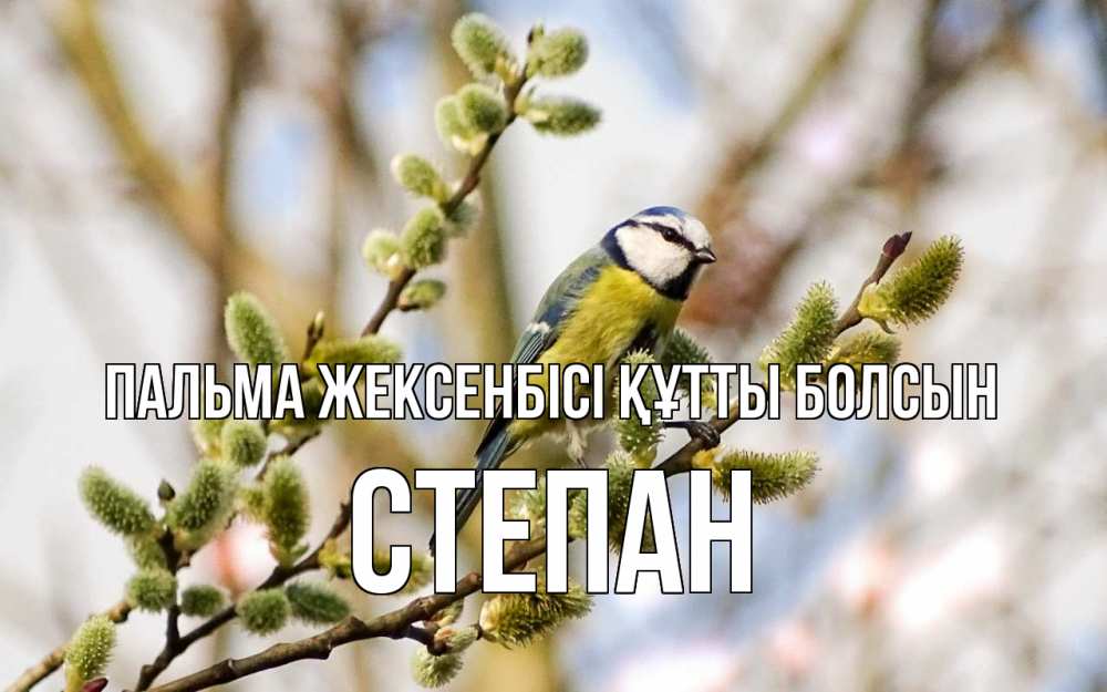 Күн сайын ашық хат с именем, Степан Пальма жексенбісі құтты болсын верба Онлайн тегін жүктеп алу тілектері бар керемет карта 
